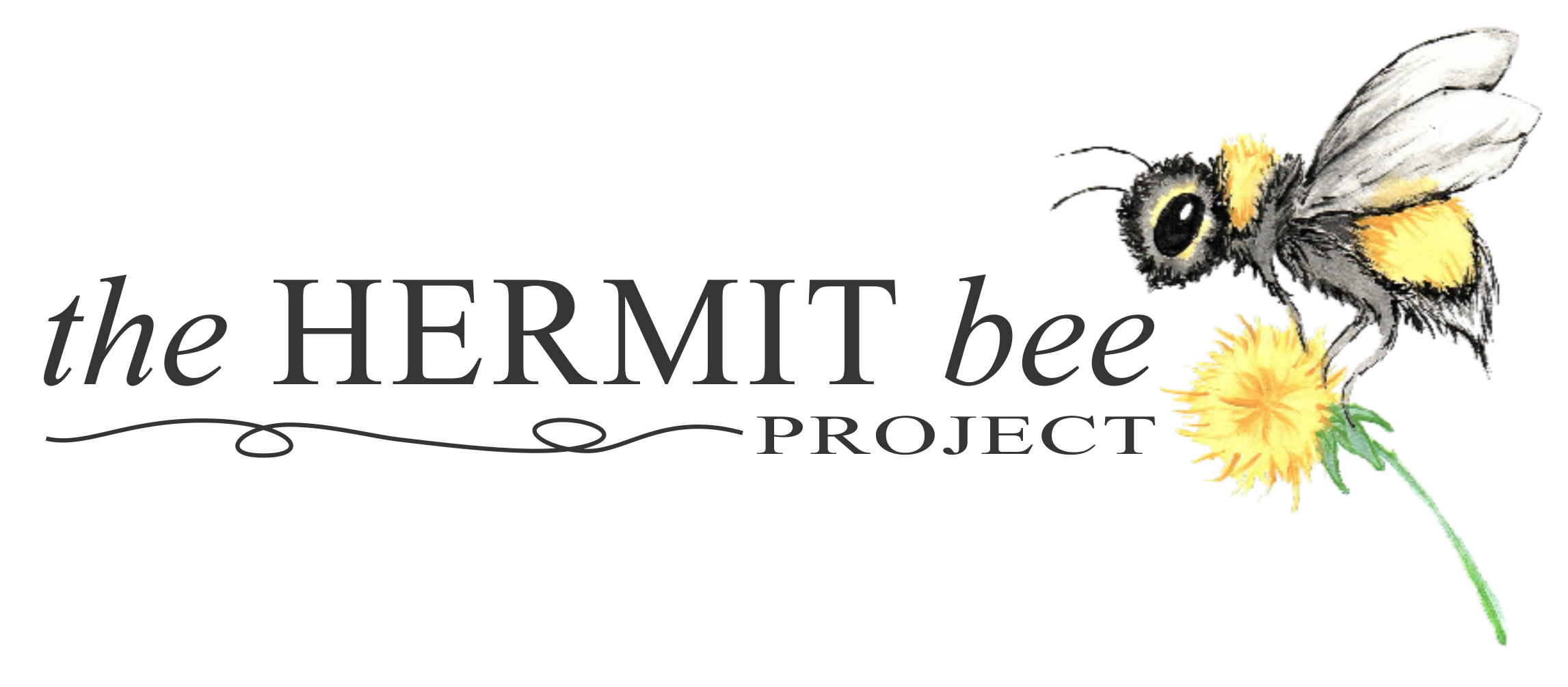The Hermit Bee